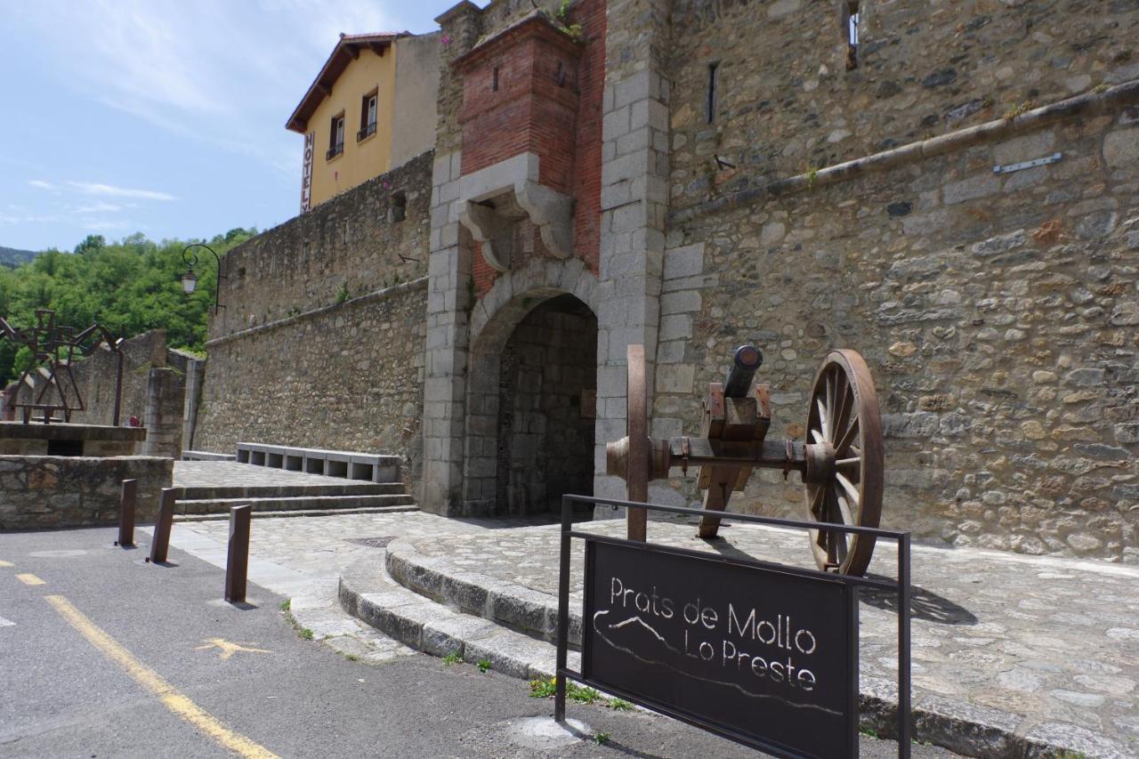 Tres Vents Del Roser - Grand Appartement Prats-de-Mollo-la-Preste Bagian luar foto