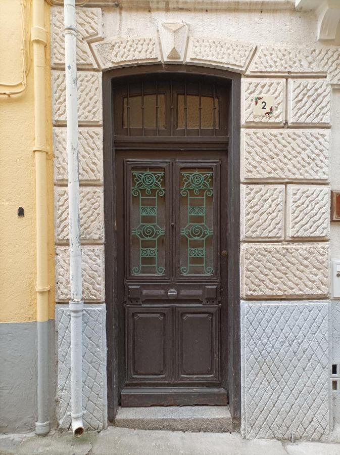 Tres Vents Del Roser - Grand Appartement Prats-de-Mollo-la-Preste Bagian luar foto